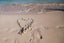 heart sign in sand